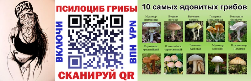 Псилоцибиновые грибы ЛСД  Фролово 